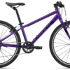 Giant ARX 24 Paars