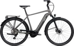 Giant DailyTour E+ 2 D (Heren/Sport/625Wh)