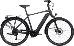 Giant DailyTour E+ 3 (Heren/Sport/500Wh)