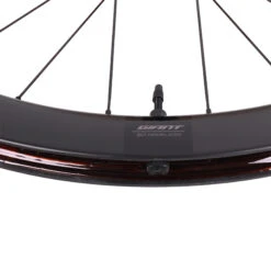 Giant SLR 1 Disc 50 Front Wheel - 28" | Hookless | Carbon | Centerlock - 12x100 Mm -Giant detail1 1345581 1