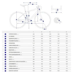 Giant FASTROAD ADVANCED 2 - Shimano Tiagra Carbon Fitness Bike - 2022 - Cold Iron -Giant geo 1185702