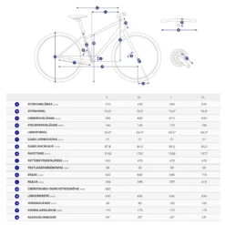 Giant EXPLORE E+ 1 STA - Dame Trekking E-Bike - 2023 - Misty Forest 9 Giant EXPLORE E+ 1 STA - Dame Trekking E-Bike - 2023 - Misty Forest -Giant geo 1486462