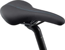 Giant ESCAPE 2 City Trekking Bike - 2022 - Charcoal -Giant my21 escape 2 city disc color a charcoal d 6 1101918