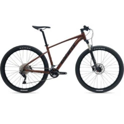 Giant TALON 1 29" Mountainbike - 2023 - Hematite